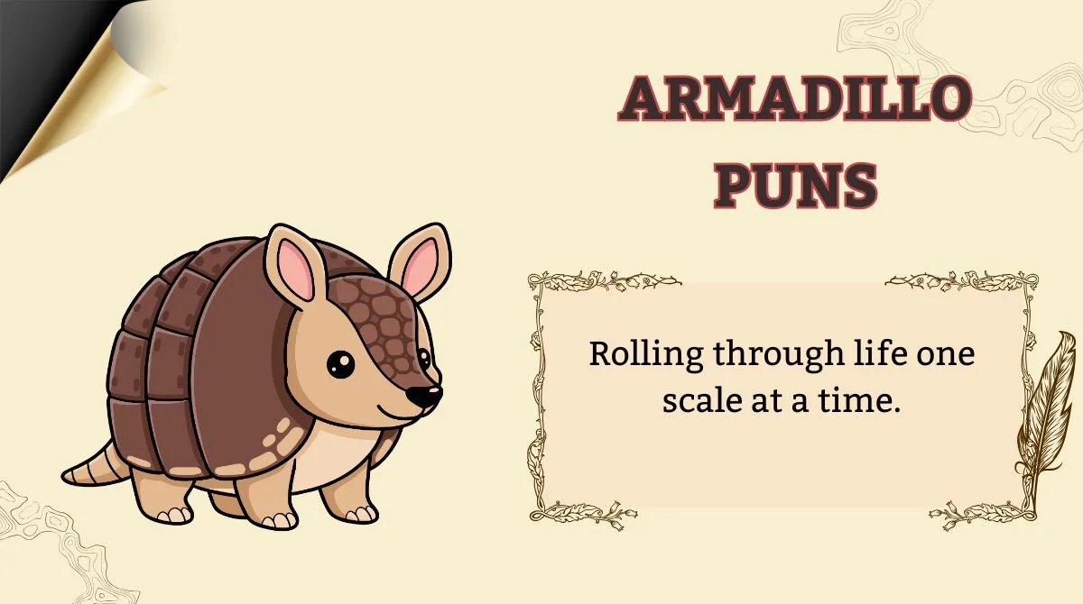 Armadillo Puns