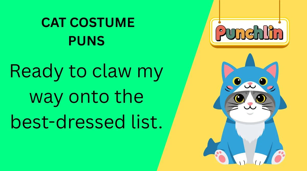 Cat Costume Puns