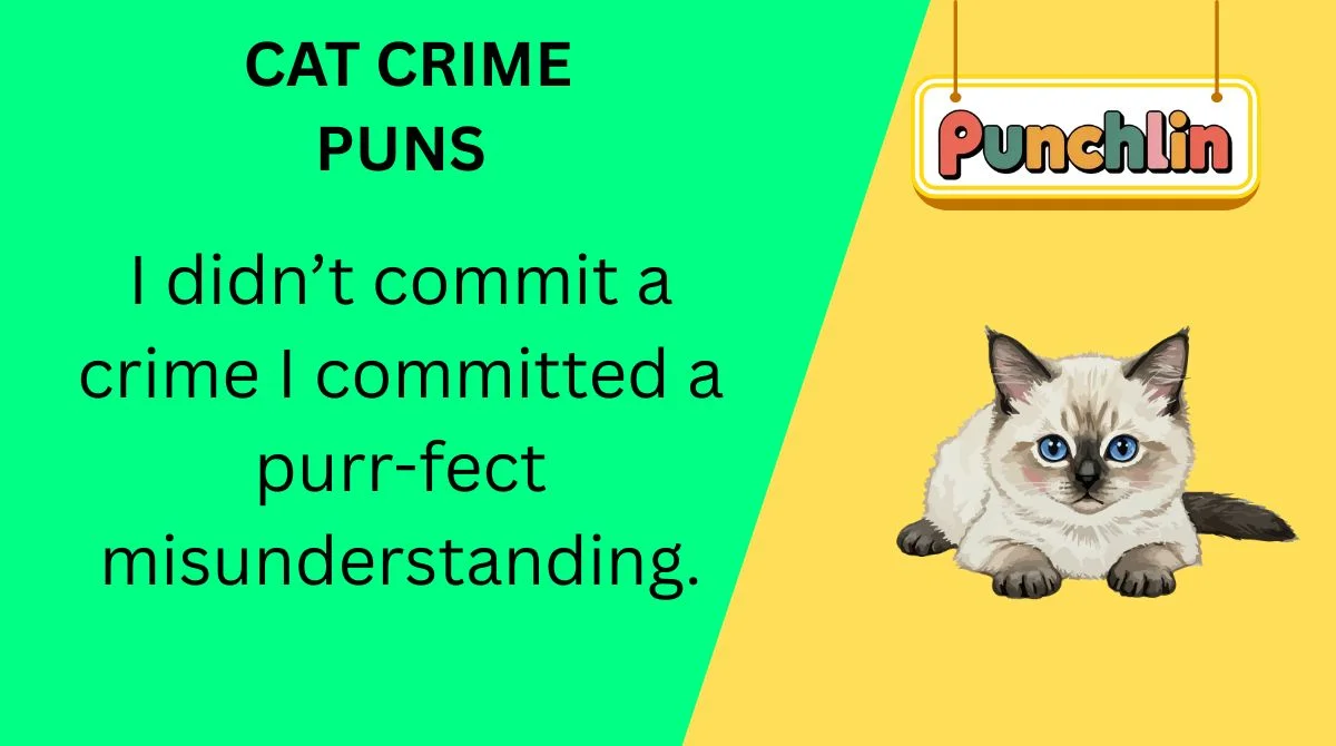 Cat Crime Puns