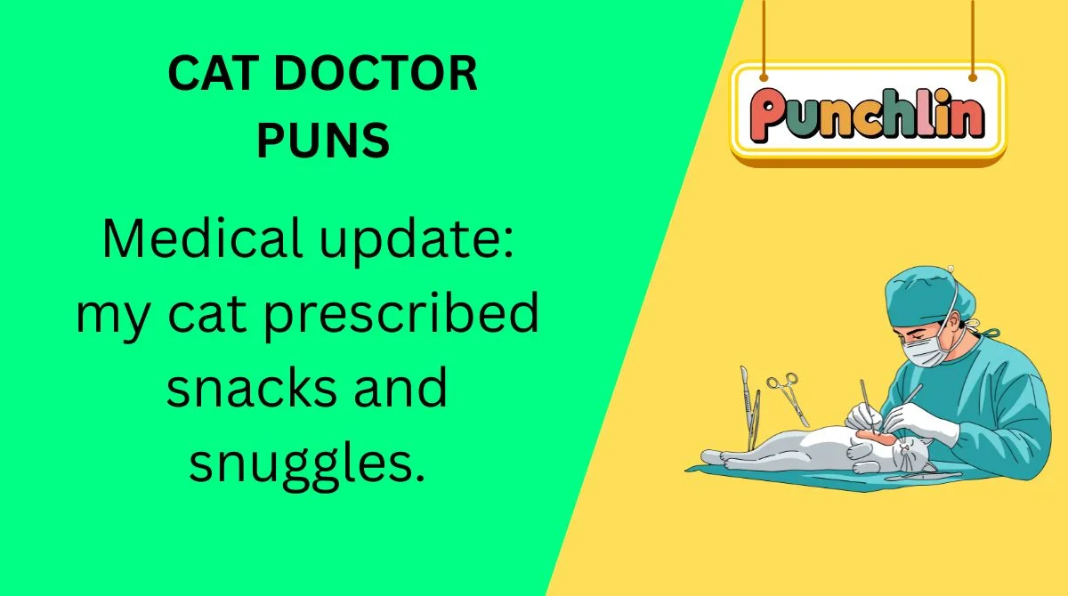 Cat Doctor Puns