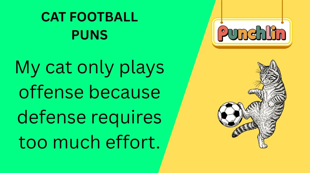 Cat Football Puns