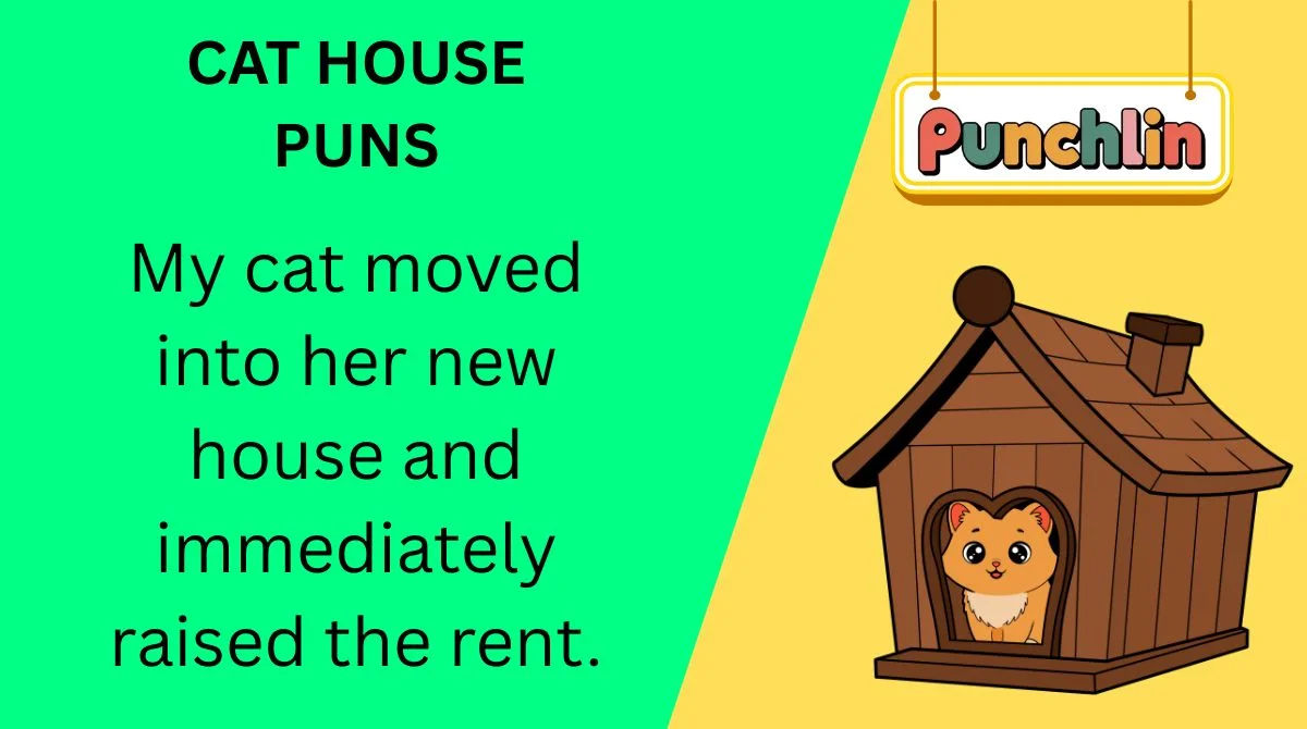 Cat House Puns