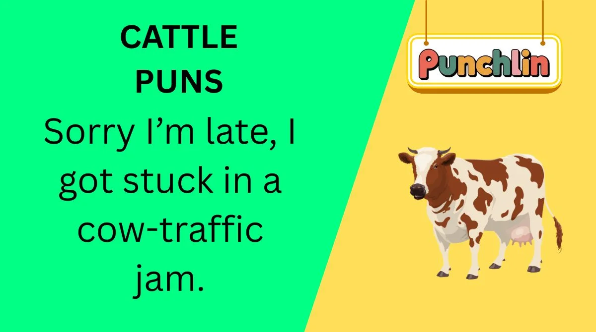 Cattle Puns