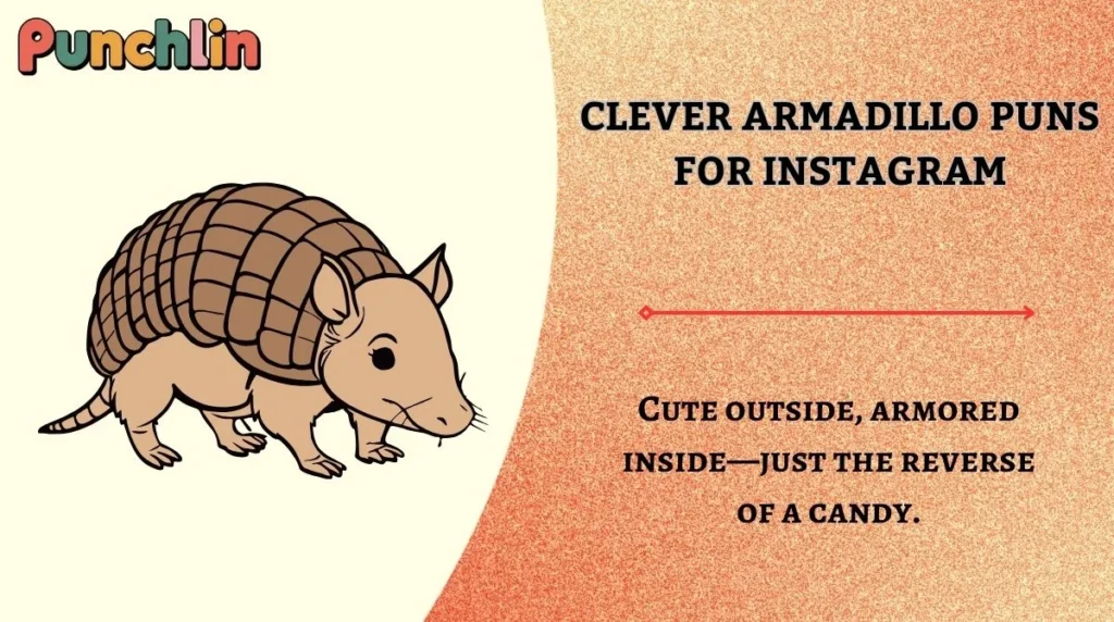 Clever Armadillo Puns for Instagram