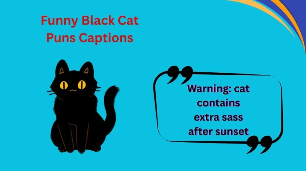 Funny Black Cat Puns Captions