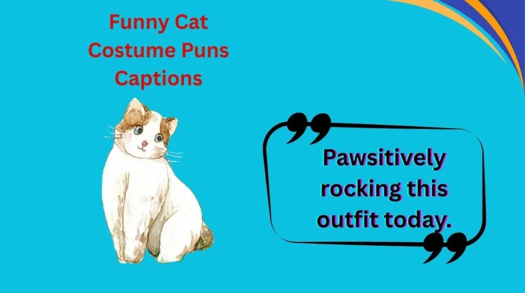 Funny Cat Costume Puns Captions