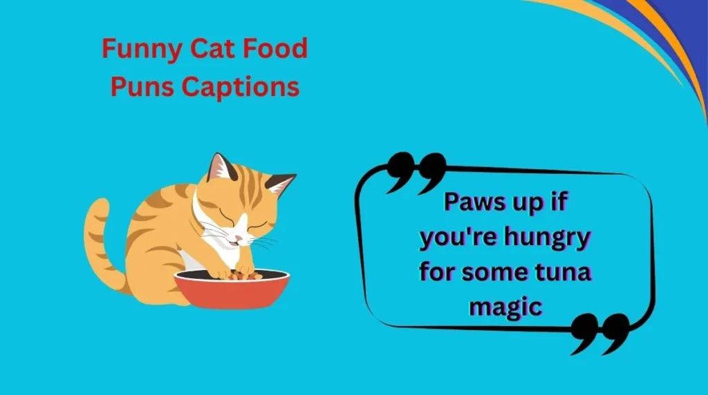 Funny Cat Food Puns Captions