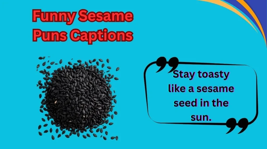 Funny Sesame Puns Captions