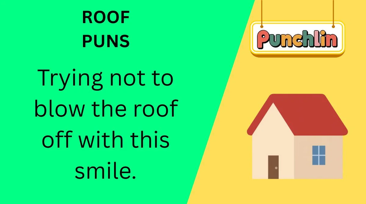 Roof Puns