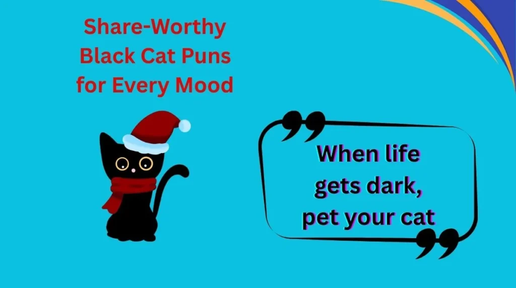 Share-Worthy Black Cat Puns for Every Mood