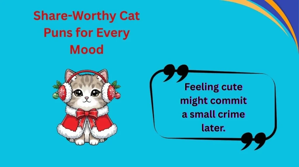 Share-Worthy Cat Puns for Every Mood