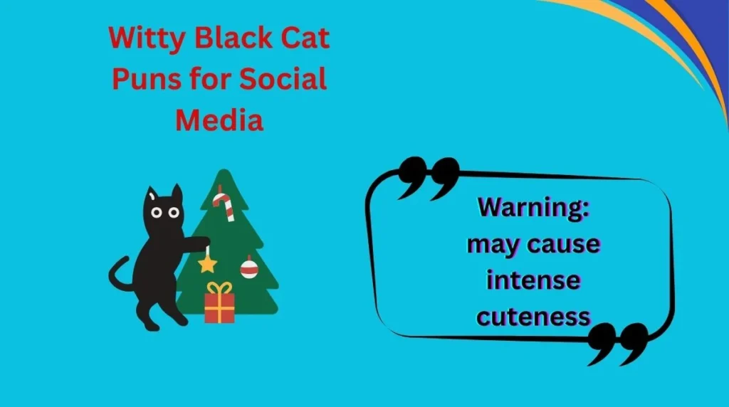 Witty Black Cat Puns for Social Media