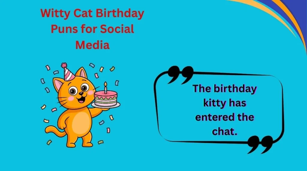 Witty Cat Birthday Puns for Social Media