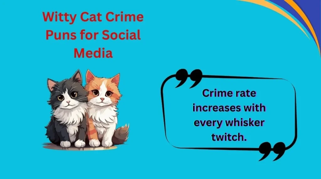 Witty Cat Crime Puns for Social Media