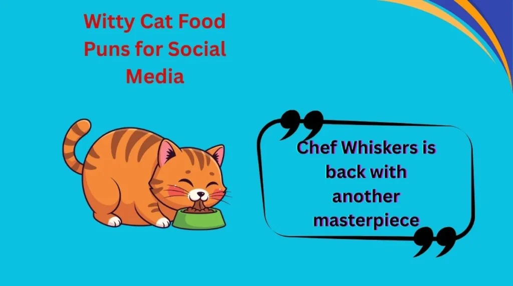 Witty Cat Food Puns for Social Media