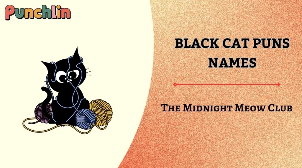 Black Cat Puns Names