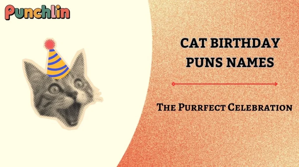 Cat Birthday Puns Names