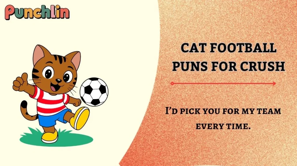 Cat Football Puns for Crush