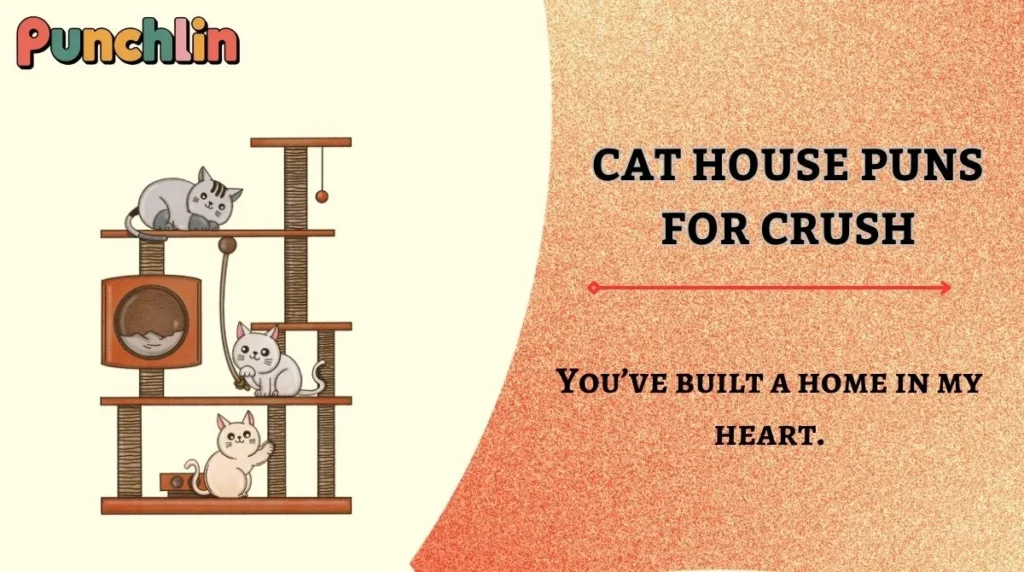 Cat House Puns for Crush