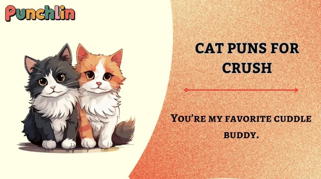Cat Puns for Crush