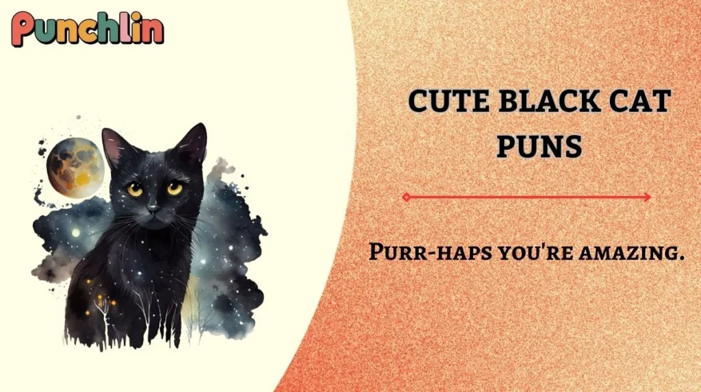 Cute Black Cat Puns