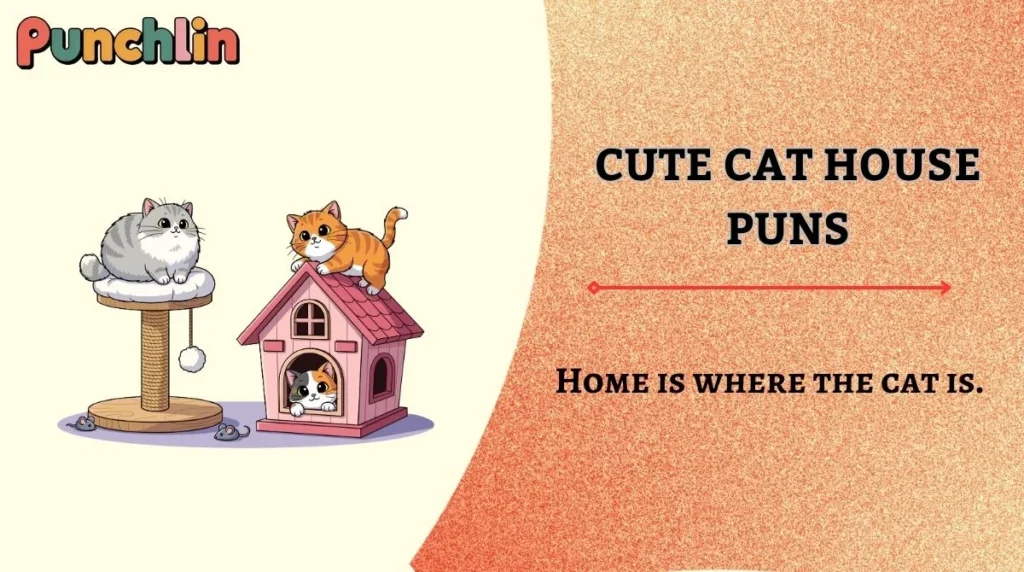 Cute Cat House Puns