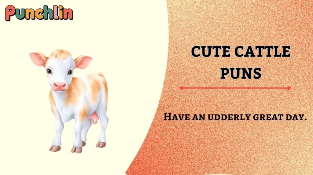 Cute Cattle Puns