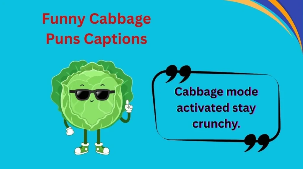 Funny Cabbage Puns Captions