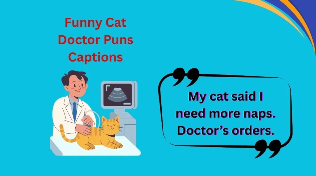 Funny Cat Doctor Puns Captions