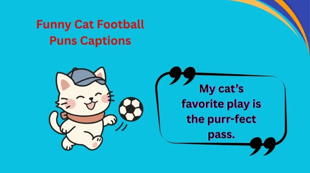 Funny Cat Football Puns Captions