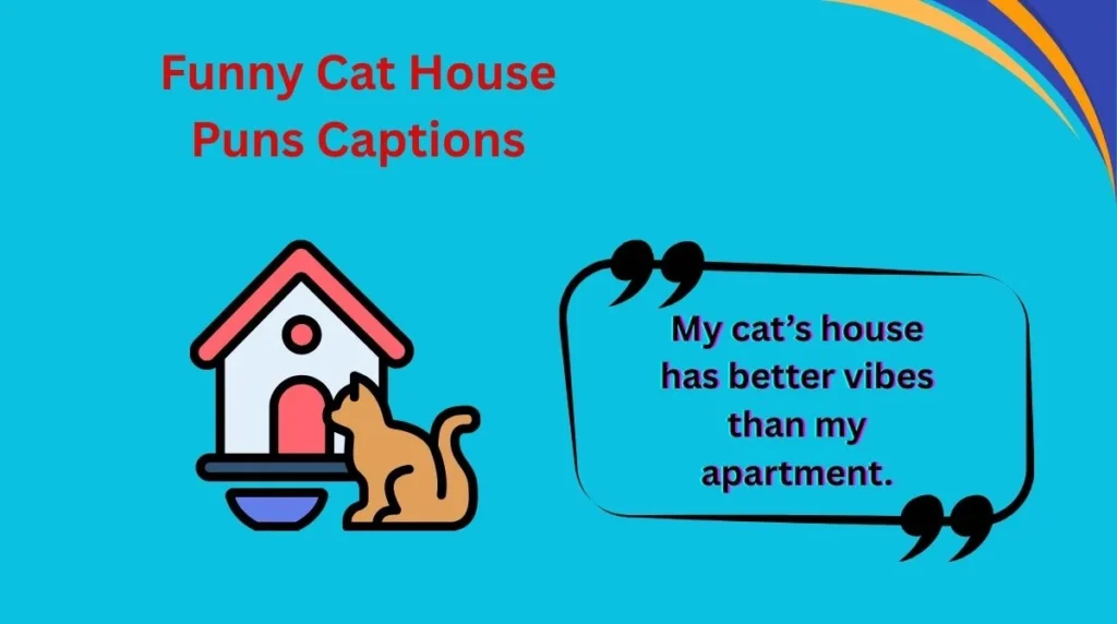 Funny Cat House Puns Captions