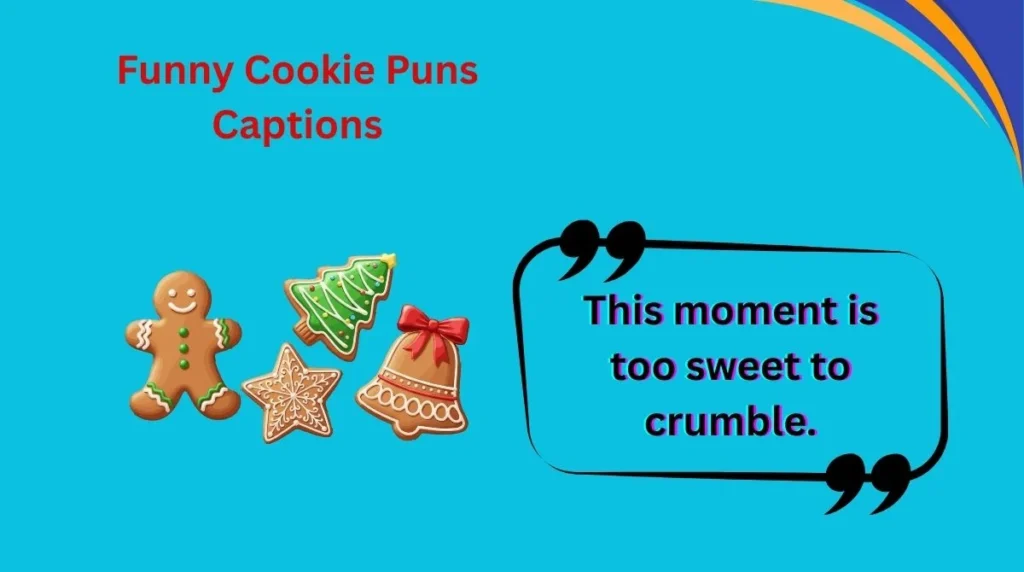 Funny Cookie Puns Captions