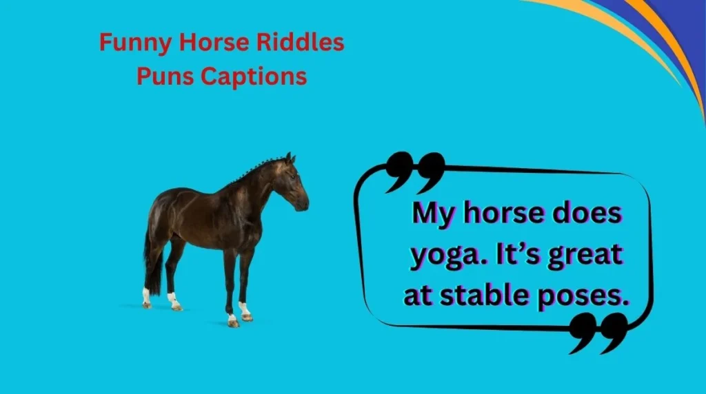 Funny Horse Riddles Puns Captions