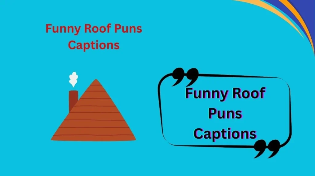 Funny Roof Puns Captions