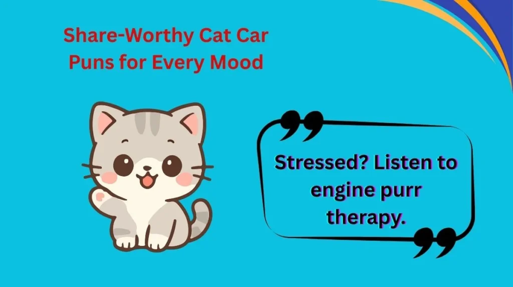 Share-Worthy Cat Car Puns for Every Mood