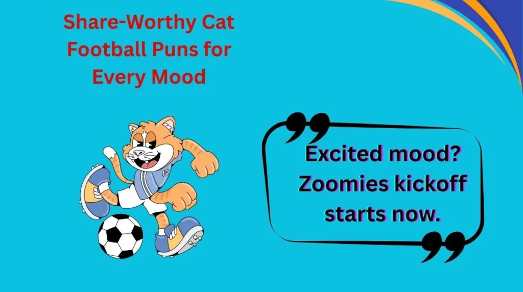 Share-Worthy Cat Football Puns for Every Mood