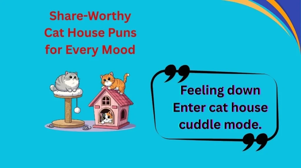 Share-Worthy Cat House Puns for Every Mood