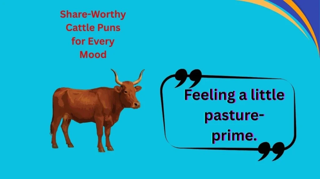 Share-Worthy Cattle Puns for Every Mood