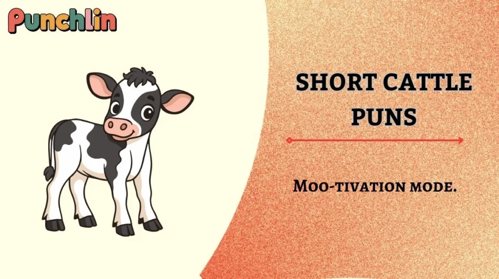 Short Cattle Puns