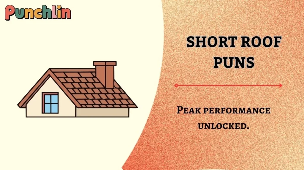 Short Roof Puns