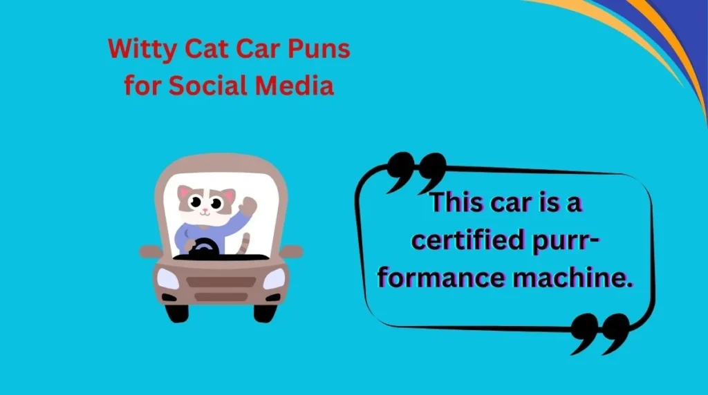 Witty Cat Car Puns for Social Media