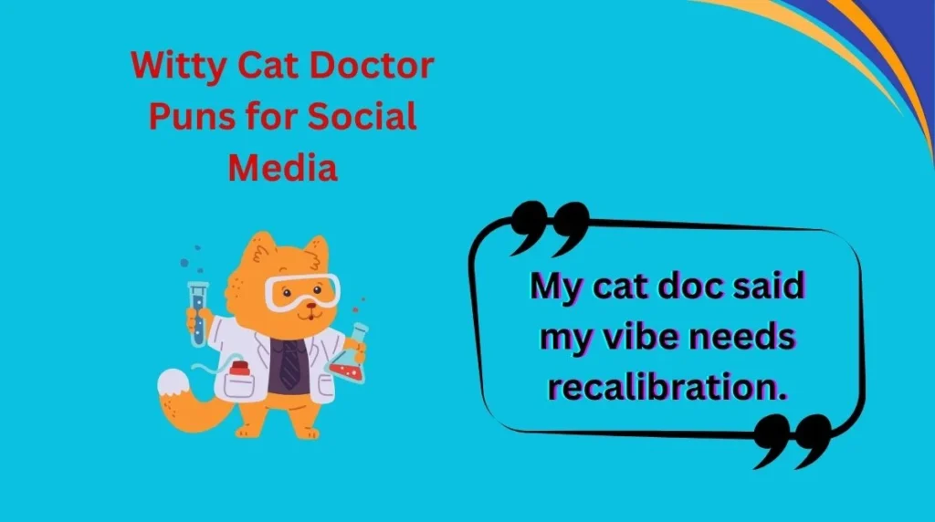 Witty Cat Doctor Puns for Social Media