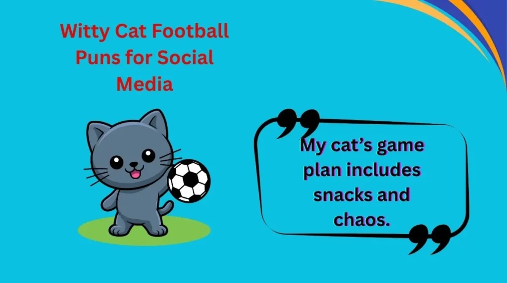 Witty Cat Football Puns for Social Media