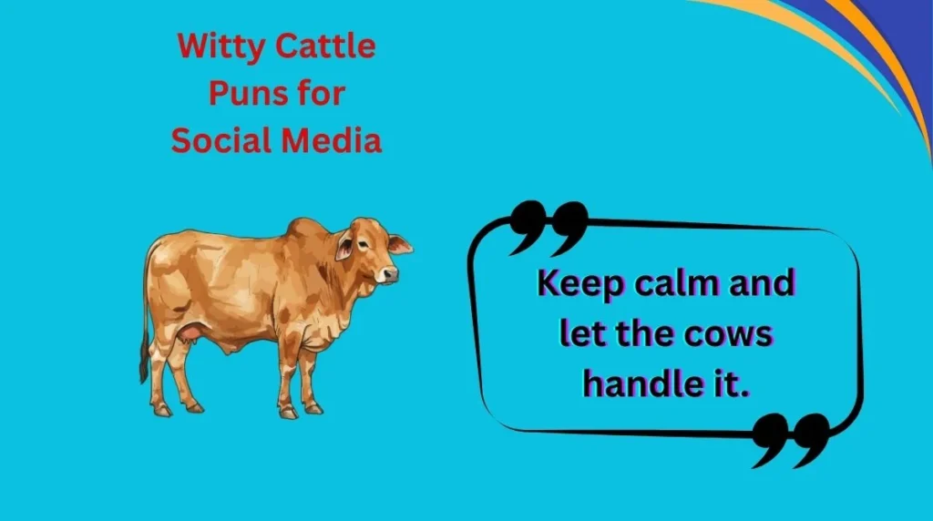 Witty Cattle Puns for Social Media