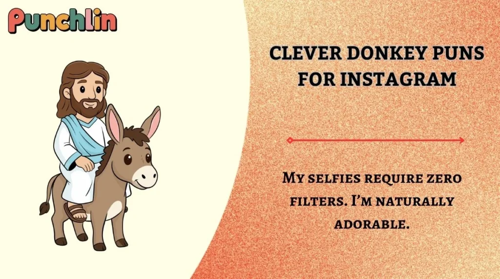 Clever Donkey Puns for Instagram