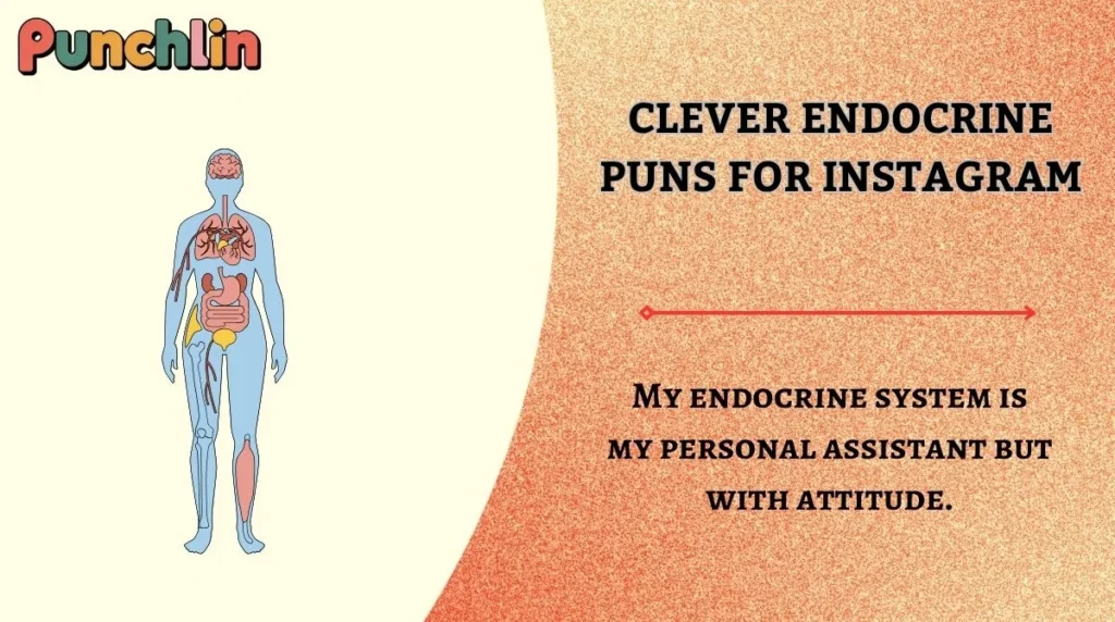 Clever Endocrine Puns for Instagram