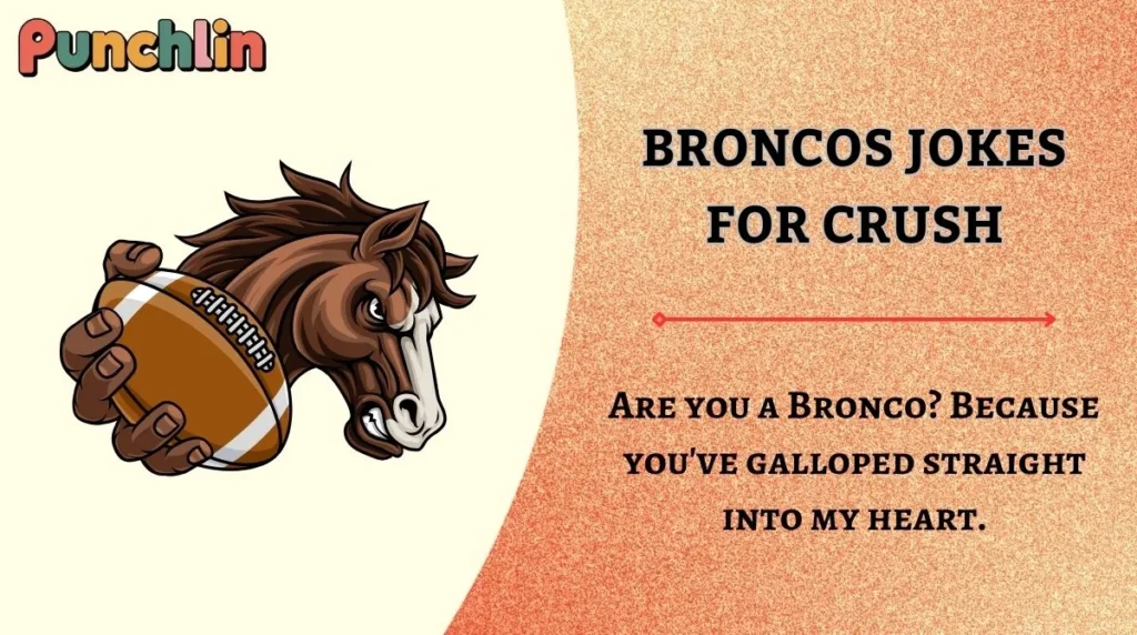 Broncos Jokes for Crush