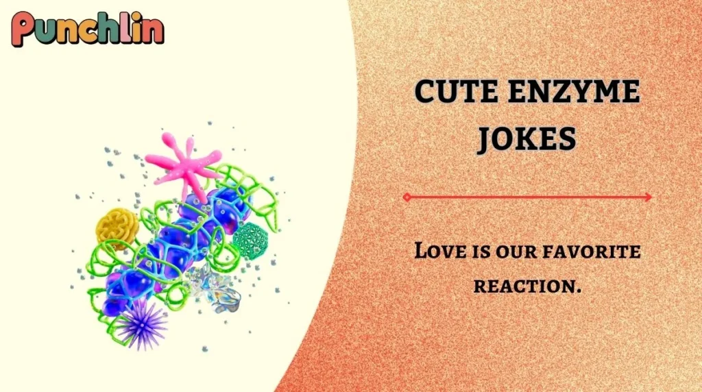 Cute Enzyme Jokes