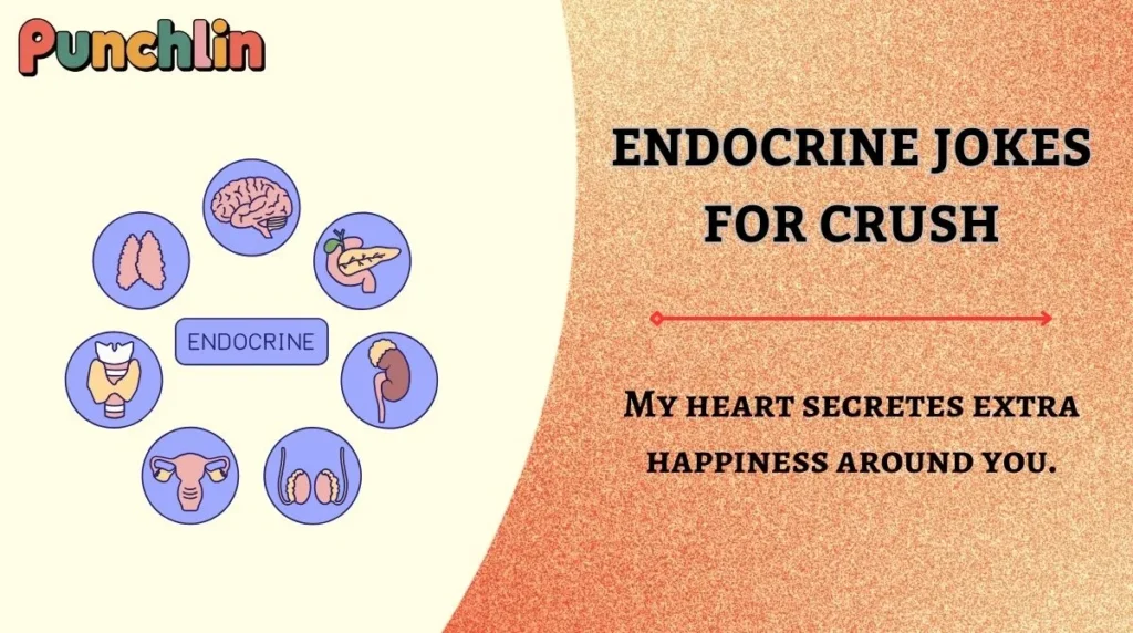 Endocrine Jokes for Crush