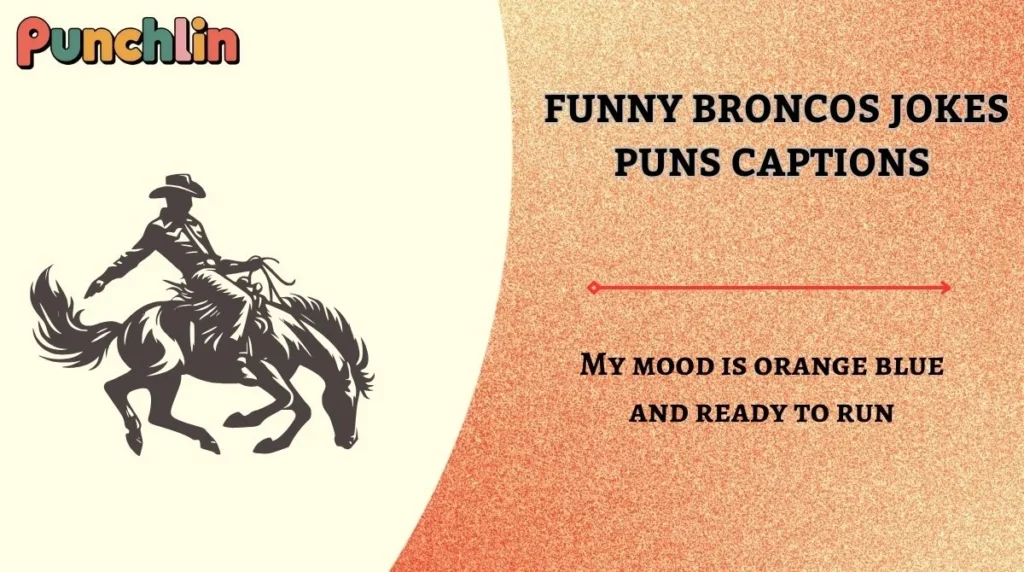 Funny Broncos Jokes Puns Captions